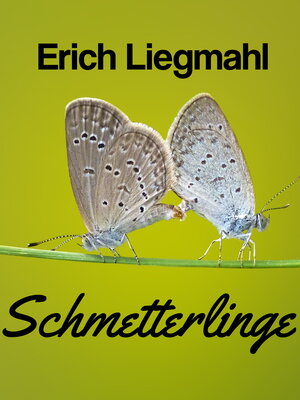 cover image of Schmetterlinge